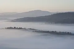 树林深处原始森林