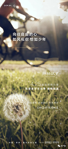 Litchi虫虫采集到情景