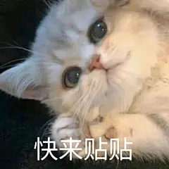 猫me表情包一个人水饺不好丸_02