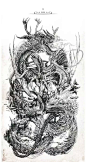 唐亮钢笔画的照片 - 微相册