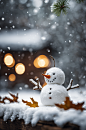 数字艺术立冬小雪冬天高清摄影图