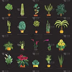 花园植物，盆栽花卉在花园矢量插图