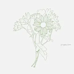 文艺古风手绘纯线雏菊花束图片大小2000x2000px 图片尺寸1.76 MB 来自PNG搜索网 pngss.com 免费免扣png素材下载！雏菊#纯线#古风#花#花束#其它#手绘#文艺#线稿#装饰图案#
