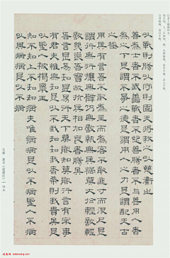 龙龙重新开始玩采集到道德经