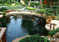 欧式庭院花园假山鱼池图片