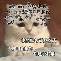 猫咪表情包 | 现在我是无脑爱你 - 小红书
