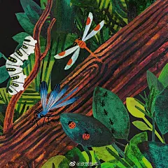                                                         Evelyn the Adventurous Entomologist
By Christine EvYasmin Imamura 

早在1881年，伊夫琳·切斯曼（Evelyn Cheesman）出生时，人们就期望英国女孩很干净，穿着褶皱连衣裙。但是伊芙琳爬进了泥土，在罐子里收集了萤火虫。通常女孩长大后，她们会结婚并照顾孩子。但是伊夫林（Evelyn）负责了伦敦动物园 ​​​​...展开全文