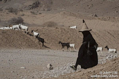 独自漫步的海绵君采集到服装服饰图案