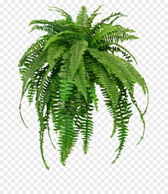 与嫣相伴采集到PNG