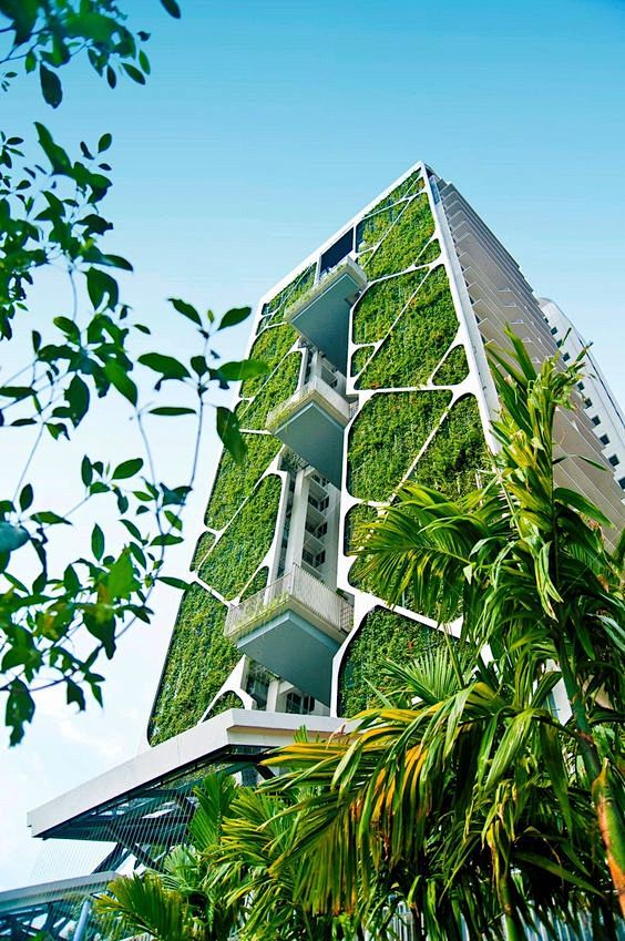 CDL’s Tree House in ...