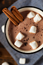 Gourmet Hot Chocolate Milk with Cinnamon and Marshmallows