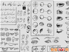 玩火尿炕采集到§R教学 —— 耳、鼻、口