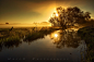 Photograph morning sun by Hajo S on 500px