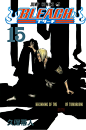 Bleach_cover_15.jpg