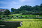 峨眉·高桥小镇，四川 / 四川乐道景观设计有限公司 : 植根大地的恋歌