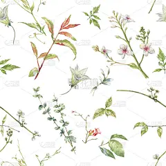 叶和花的水彩画，在白色的背景上无缝的图案