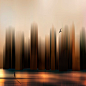 swifts in the city by Josh Adamski on 500px