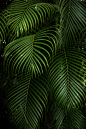 hector-falcon-doqTQhFXQGQ-unsplash