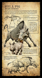 自然历史博物馆科普式动物插画-美国Beth Zaiken [26P] (24).jpg