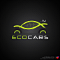 EcoCars