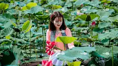 女孩 花卉背景 莲花 船 湖 花朵 花壁纸 荷叶 女士 姿势