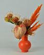 protea_white-copy