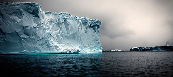 《The Last Iceberg》（最...