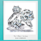 TiffanyAndCo蒂芙尼的照片 - 微相册