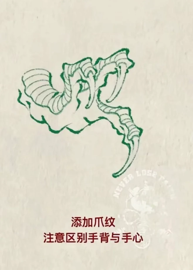 龙爪画法 - 小红书