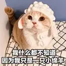 曲茗梓
