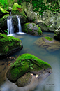 Autumn in the Natural Park of the Acorns, Andalucia, Spain #美景#