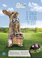 El Conejo de Pascua ya llegó on Behance