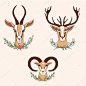 装饰的瞪羚，鹿，Ram 图形手绘制的矢量卡通涂鸦色彩丰富的插画，野生动物与弯角、 花香隔绝，吉祥物头，角色设计贺卡