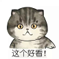 #首发8折# 喜欢这款的宝宝们注意啦！ 明早10点宝贝上线后将开启限时一小时8折抢购！ 时间有限～ 宝宝们还不快快加入购物车~