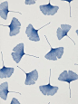 marimekko biloba wallpaper, blue: 