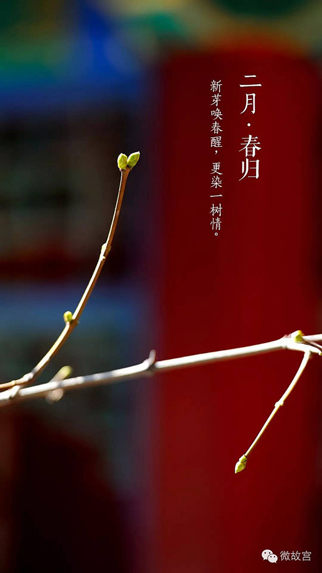 108张图看尽紫禁城的春夏秋冬