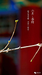 108张图看尽紫禁城的春夏秋冬