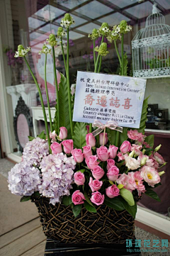 琳距离采集到花篮