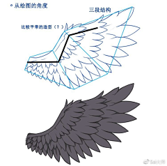 百枫鸣采集到兽设