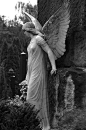 sensitive angel. photo by Pierre the III