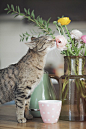 even they take time to smell the flowers... :):