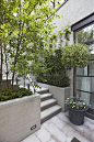 城市庭院和屋顶 / Edmund Hollander Landscape Architects-10
