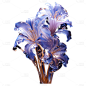 3D彩色花花贴纸