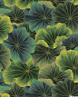 Nobu Fujiyama - Sanctuary II: Lotus Leaves pattern #nature #inspiration #fw1415: 