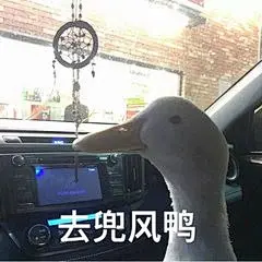 鸭鸭表情包_360图片