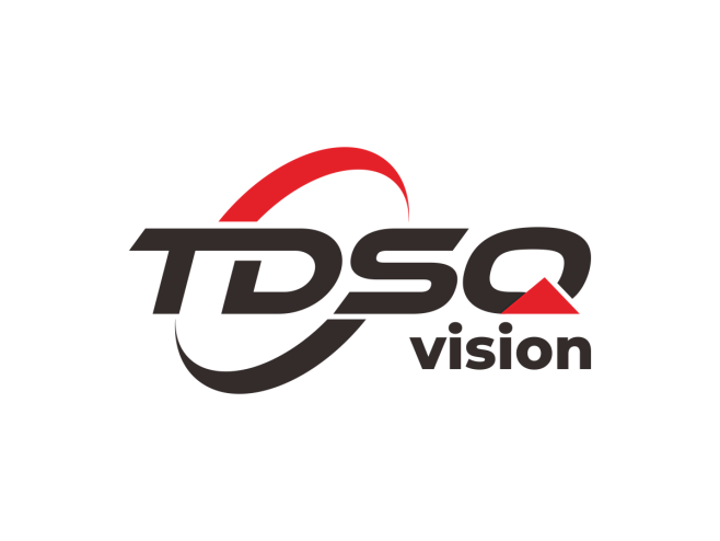 TDSQvisionLOGO设计 - L...