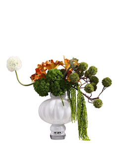 不想懂得~~~采集到Floriculture-花艺