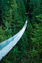 anotic:

Capilano Suspension Bridge, Vancouver  |  michellerlee
