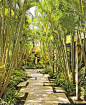 热带风情-椰榈庄园