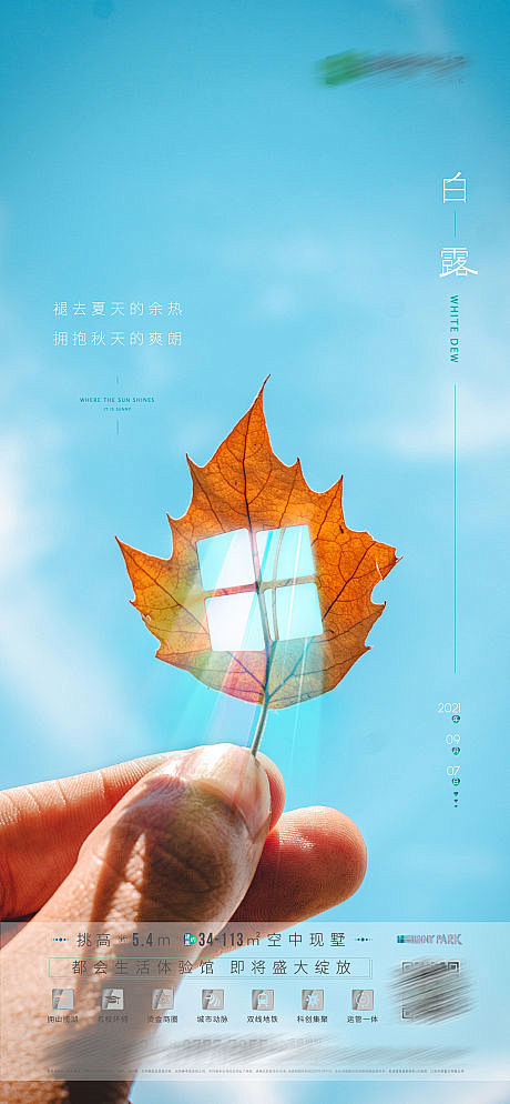 房地产节气白露微信稿-源文件
